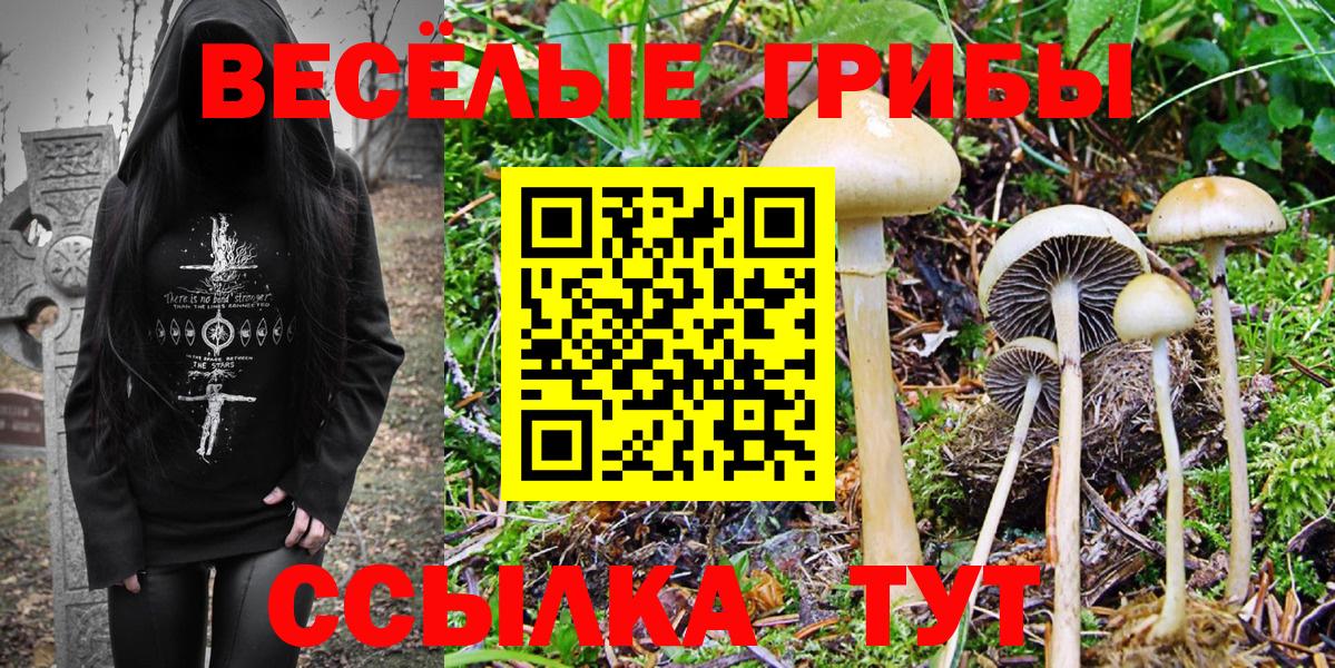 как найти закладки  Псилоцибиновые грибы мухоморы  Псилоцибиновые грибы Magic Shrooms  Вход с VPN  Орехово-Зуево 