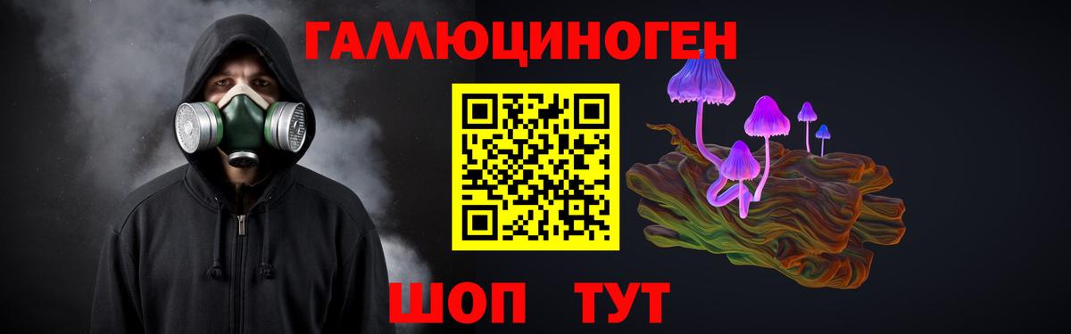 Псилоцибиновые грибы Cubensis Орехово-Зуево